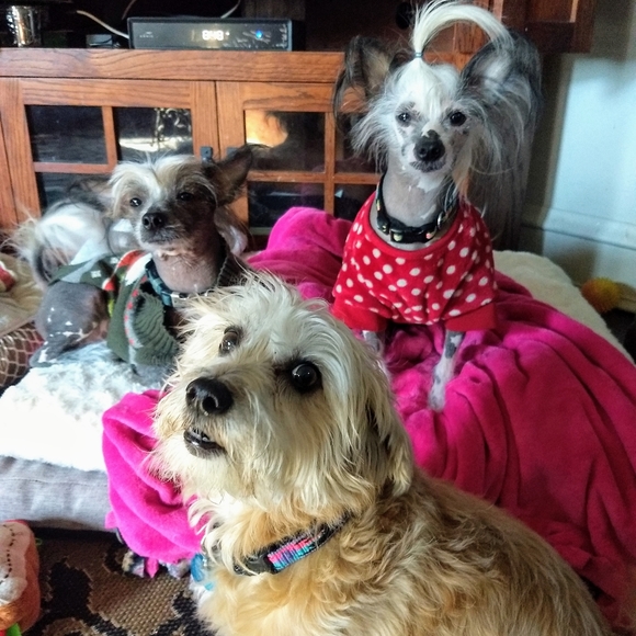 Meet your Posher, Pamela - Picture 4 of 12